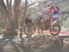 XC at Clear Creek Endurocross Section 2009