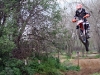 PVH over the Trees